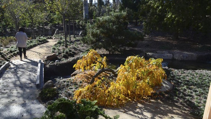 Indahnya Miniatur Taman Jepang di Sudut California Ganna Walska Lotusland, juga dikenal sebagai Lotusland, adalah taman botani nirlaba yang berlokasi di Montecito, dekat Santa Barbara, California, Amerika Serikat.