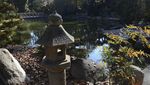Indahnya Taman Ala Jepang di Sudut California