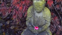 Sebuah patung Buddha antik dengan pose memegang persembahan bunga di pajang di bawah pohon maple Jepang.   