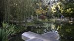 Indahnya Taman Ala Jepang di Sudut California