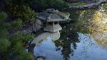 Indahnya Taman Ala Jepang di Sudut California
