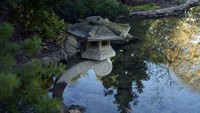 Lotusland dibuka untuk warga yang ingin mencari kenyamanan diluar rumah di tengah pandemi Corona.  