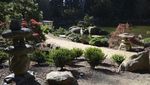 Indahnya Taman Ala Jepang di Sudut California