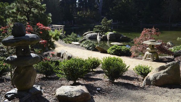 Jalan setapak di Lotusland dilapisi dengan lentera kuno bergaya Jepang, dan tanaman seperti azalea, bambu, kamelia, dan magnolia bintang. Pohon yang ditanam termasuk bunga sakura dan gingko. Jalan setapak di Lotusland dilapisi dengan lentera kuno bergaya Jepang, dan tanaman seperti azalea, bambu, kamelia, dan magnolia bintang. Pohon yang ditanam termasuk bunga sakura dan gingko.