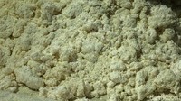 Bahan baku utama yang dibutuhkan untuk membuat mie pentil adalah tepung tapioka atau yang dikenal juga dengan sebutan kanji.