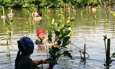 Mengenal Lebih Dekat 10 Flora-Fauna Indonesia