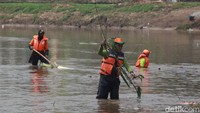 Petugas dari UPK Badan Air Dinas Lingkungan Hidup membersihkan sampah yang mengotori Banjir Kanal Barat.