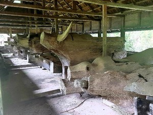 Melihat Makam Berbentuk Kerbau di Mamasa Sulbar