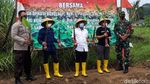 Menengok Kebun Pisang Cavendish Garapan BUMDes di Boyolali