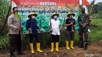 Tak hanya itu, warga juga melakukan pembibitan sendiri pisang yang memiliki nilai ekonomi cukup tinggi tersebut. Pisang cavendish yang ditanam BUMDes Pelangi Desa Cermo itu juga hasil pembibitan sendiri.