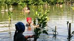 Mengenal Lebih Dekat 10 Flora-Fauna Indonesia
