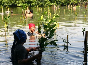 20 Contoh Penerapan Nilai-Nilai Pancasila terhadap Hewan dan Tumbuhan