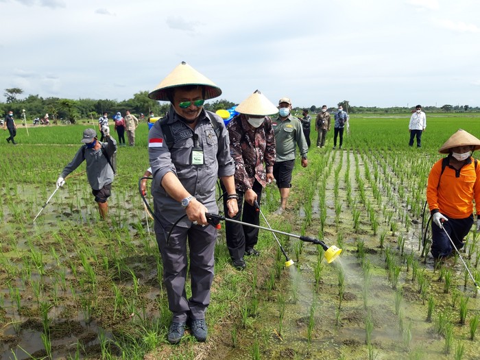 Menteri Pertanian,  Syahrul Yasin Limpo, menyemprot tanaman padi bersama masyarakat dalam kunjungannya di Desa Dibal, Kecamatan Ngemplak, Kabupaten Boyolali, Jumat (5/3/2021)