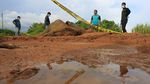 Melihat Proses Nekropsi Gajah Sumatera di Aceh