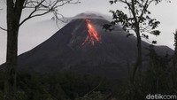 Guguran lava pijar Gunung Merapi pada periode 4 Maret pukul 18.00 WIB hingga 5 Maret pukul 06.00 WIB teramati sebanyak 81 kali.
