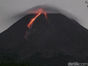 Aktivitas Meningkat, Gunung Merapi Masih Berstatus Siaga