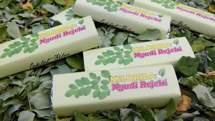 Produk Olahan Daun Kelor Olahan daun kelor