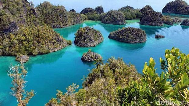 Raja Ampat, salah satu destinasi wisata bawah laut terbaik di Indonesia. (Randy/detikTravel)