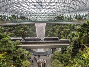 Warga Singapura Tabur Benih di Atap dan Balkon