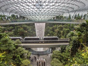 Warga Singapura Tabur Benih di Atap dan Balkon