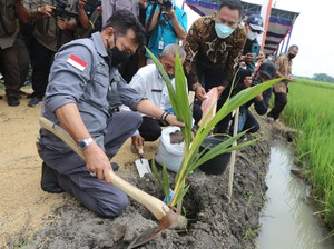 Perkuat Perekonomian, Mentan Galakkan Padat Karya di Karanganyar