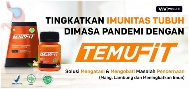 TEMUFIT