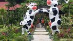 Foto: Destinasi Hits dari Boyolali, Waduk Cengklik Park