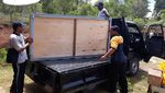 Tampang Mobil Pick Up Belakos