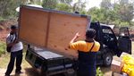 Tampang Mobil Pick Up Belakos
