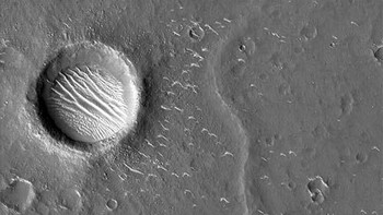 Foto yang diambil oleh Tianwen-1 ini menampilkan Utopia Planitia, lokasi pendaratan rover Zhurong di Mars. Kawah ini berada di bagian utara Planet Merah. Foto: CNSA