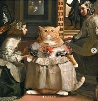 fotoinet fatcatart