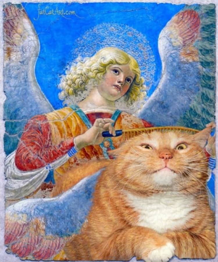 fotoinet fatcatart