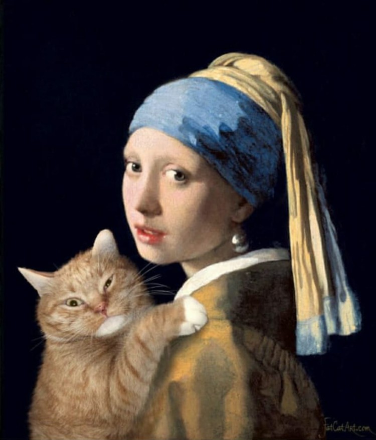 fotoinet fatcatart