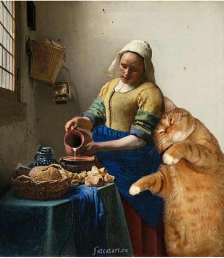 fotoinet fatcatart fotoinet fatcatart