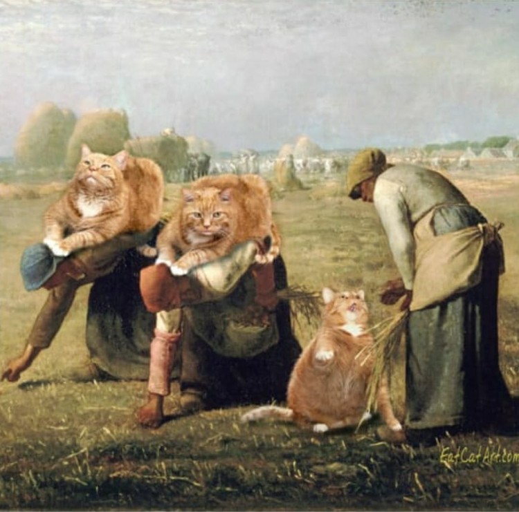 fotoinet fatcatart fotoinet fatcatart
