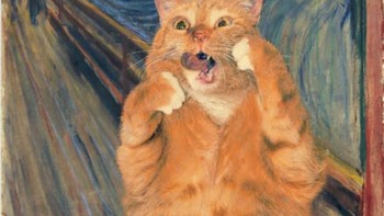 Bukan perkara mudah untuk mengajak kucingnya menjadi model, terutama ide untuk gaya foto. Foto: Instagram/fatcatart