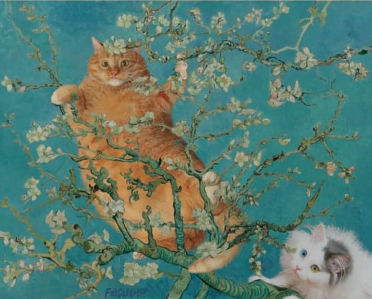 fotoinet fatcatart fotoinet fatcatart