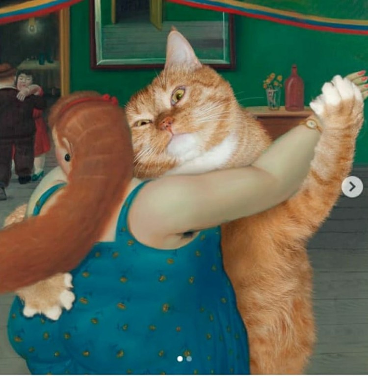 fotoinet fatcatart