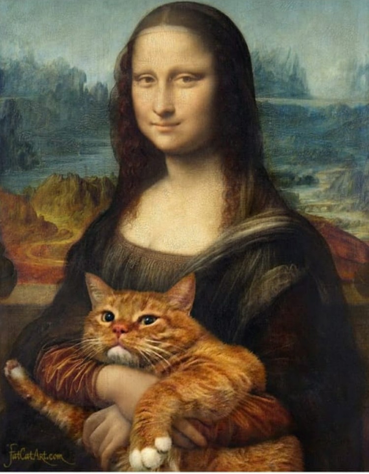 fotoinet fatcatart fotoinet fatcatart
