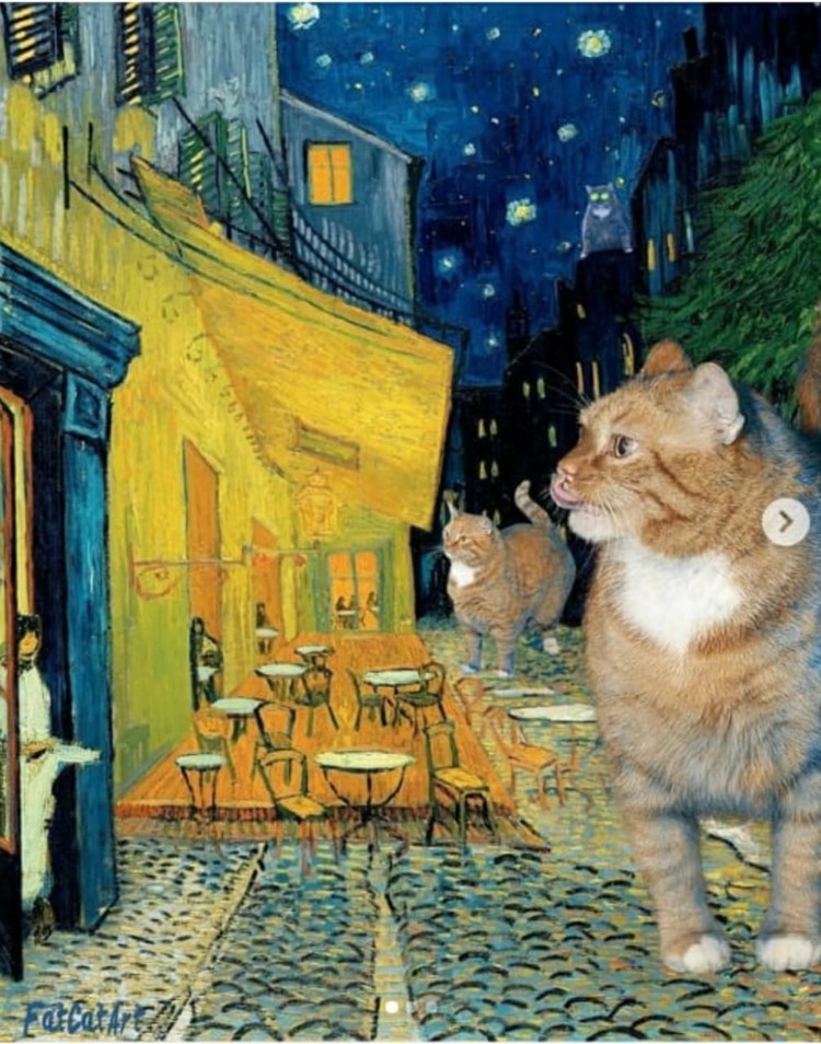 fotoinet fatcatart