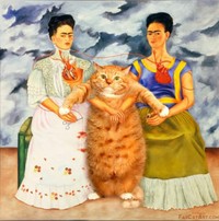 fotoinet fatcatart