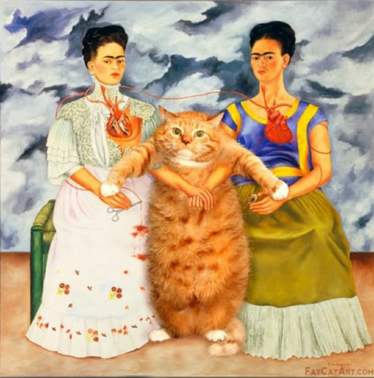 fotoinet fatcatart fotoinet fatcatart