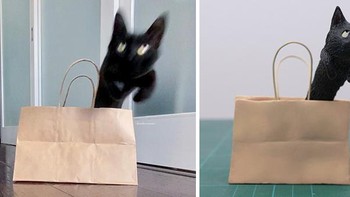 Hahahaha. Foto: Bored Panda