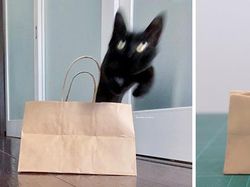 Seniman Ini Bikin Patung dari Foto Hewan yang Viral, Gemas!