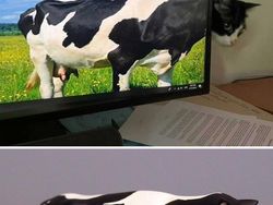 Seniman Ini Bikin Patung dari Foto Hewan yang Viral, Gemas!