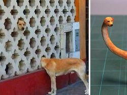 Seniman Ini Bikin Patung dari Foto Hewan yang Viral, Gemas!