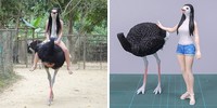 Seniman Jepang bernama Meetissai bikin patung dari foto lucu hewan.