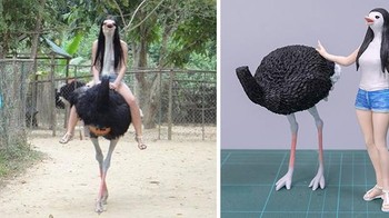 Ternyata kalau manusia tidak naik burung unta, jadi kayak gini. Foto: Bored Panda