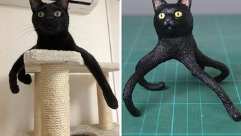 Kucing atau gurita sih ini. Foto: Bored Panda