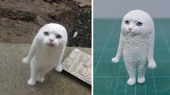 Atau kucing ini? Foto: Bored Panda